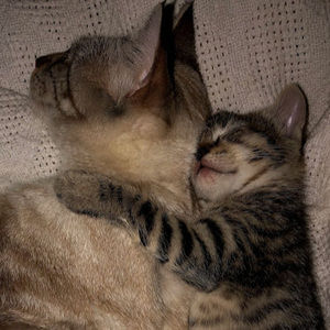 Meet your Posher, Debhora